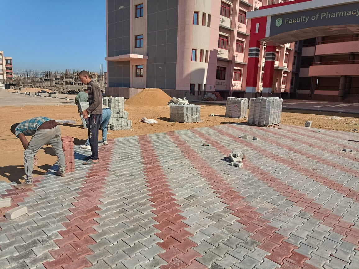 أعمال الإنترلوك بالجامعة الجديدة 