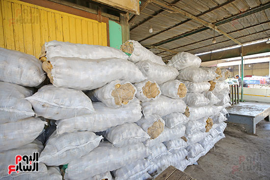 البطاطس بالسوق