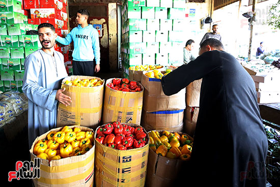 الفلفل الألوان