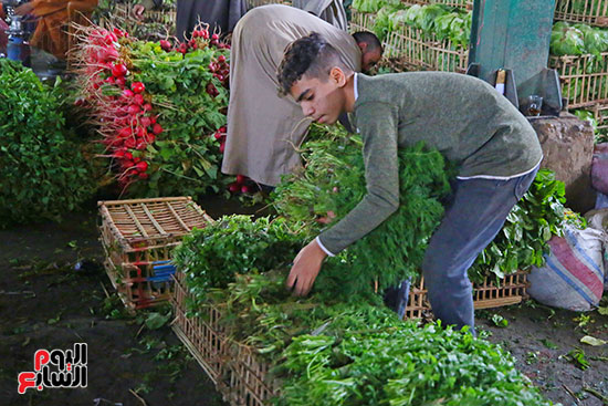الخضراوت فى السوق