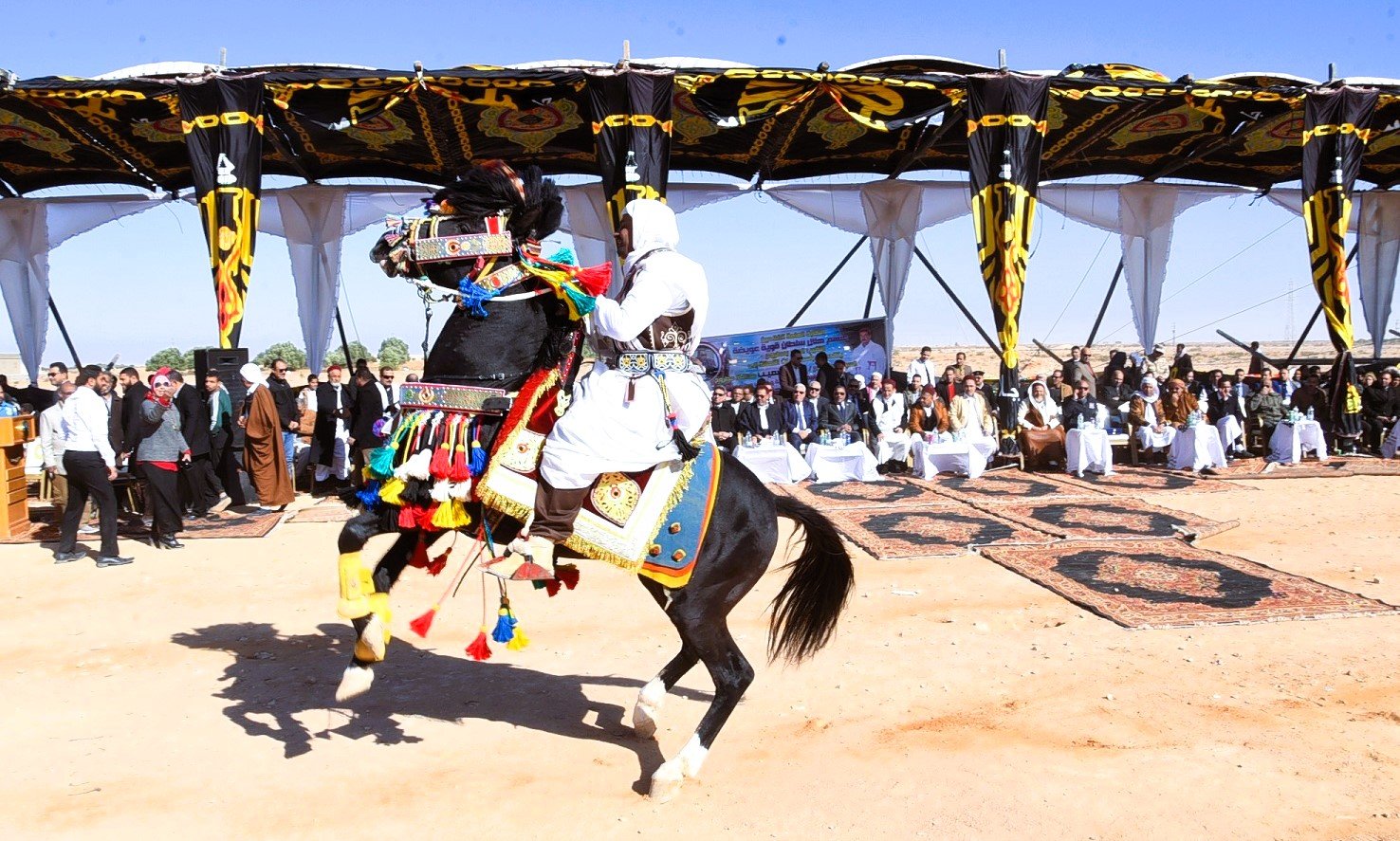 استعراض الخيول بالملابس البدوية التراثية في العيد القومي