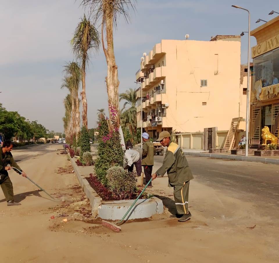 مدينة الأقصر تبدأ أعمال تطوير وتشجير الجزيرة الوسطى في شارع سلمي سليم