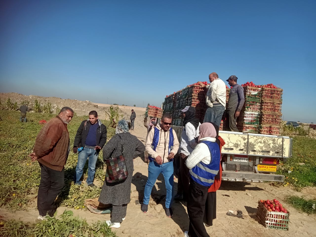 جانب من القافلة الزراعية