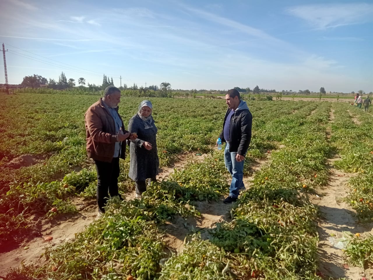 جانب من قافلة كلية الزراعة