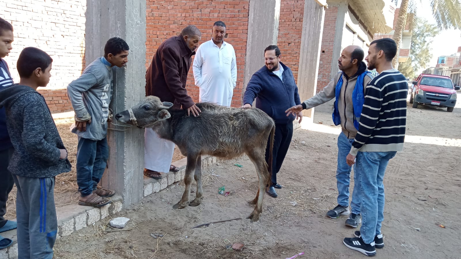 جانب من القافلة البيطرية_1