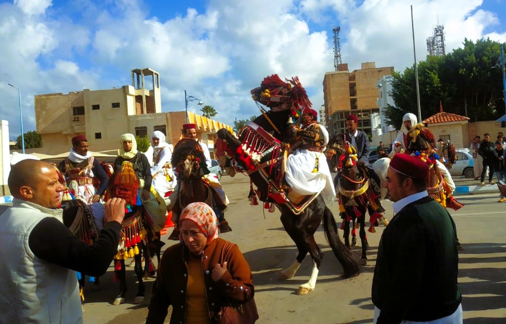 احتفالات الفرسان والخيول المزينة بعيد مطروح القومي