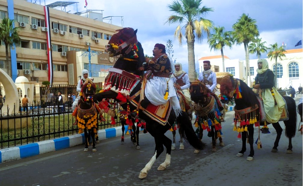 استعراض بالخيل - فرسان مطروح