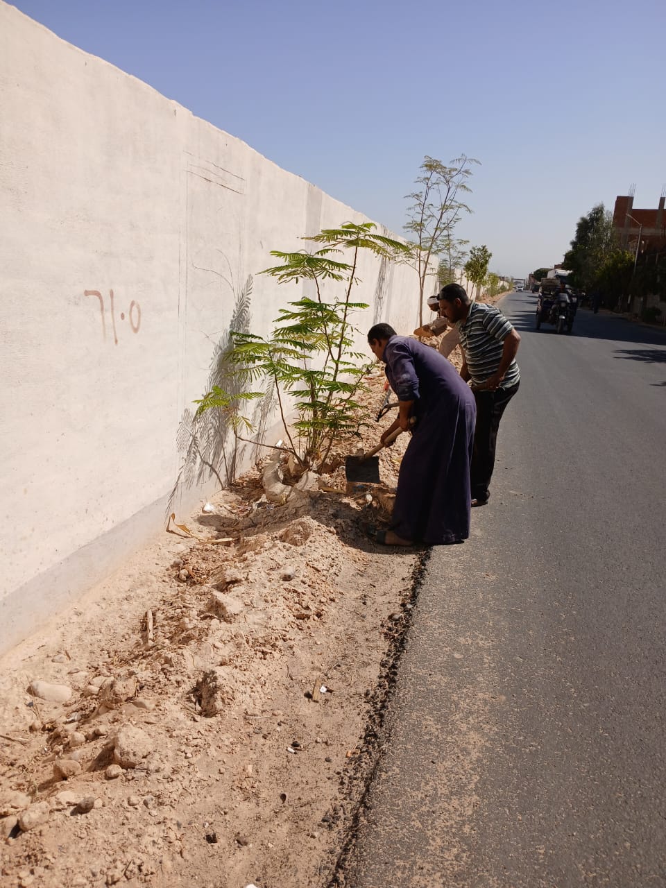 زراعة وتشجير الطرق المؤدية لدير درنكه