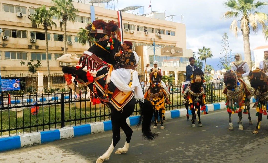 استعراض الخيول من المشاركات التراثية في العيد القومي لمحافظة مطروح