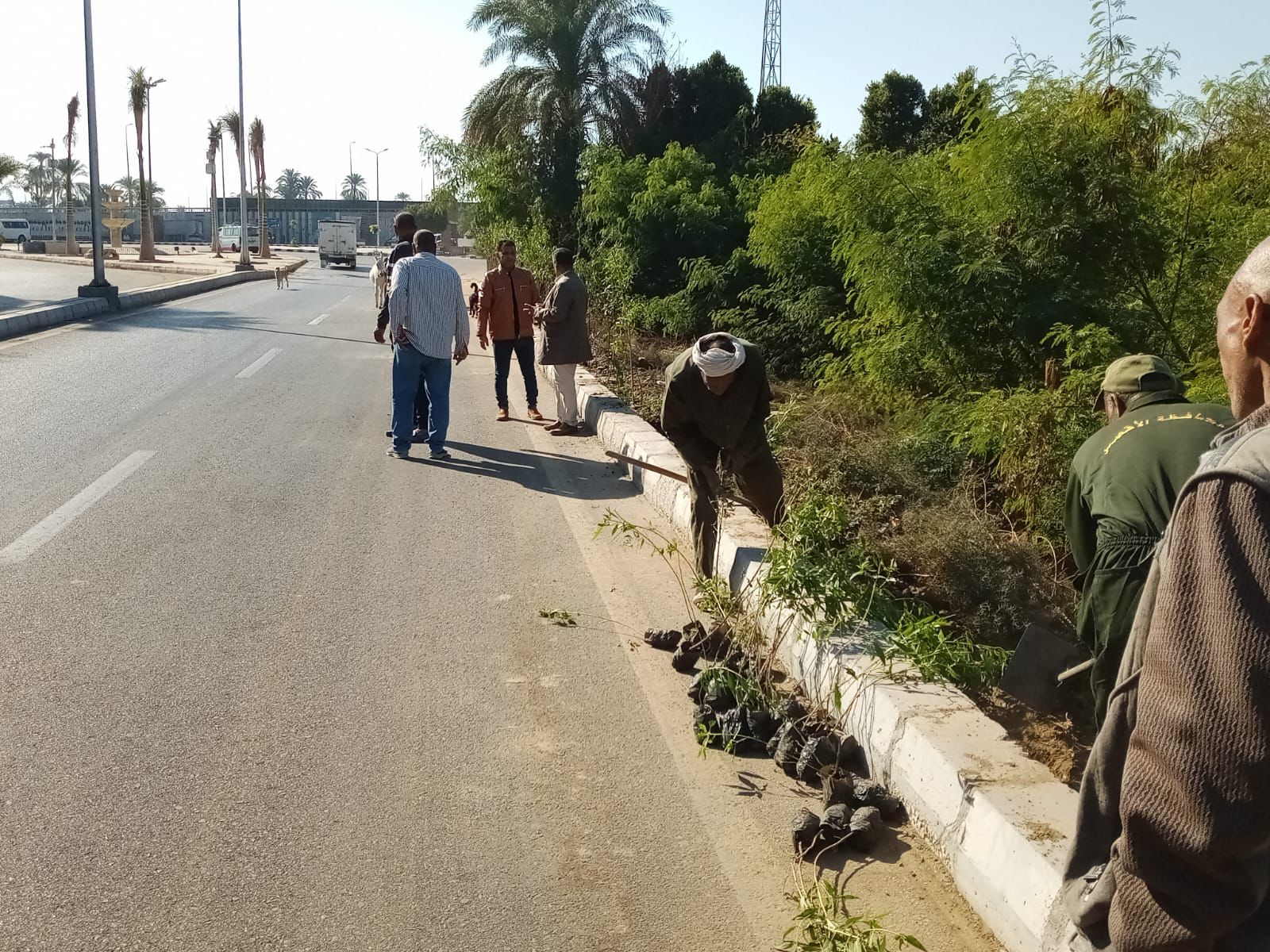 رئيس مدينة البياضية يؤكد على تكثيف أعمال زيادة المساحات الخضراء