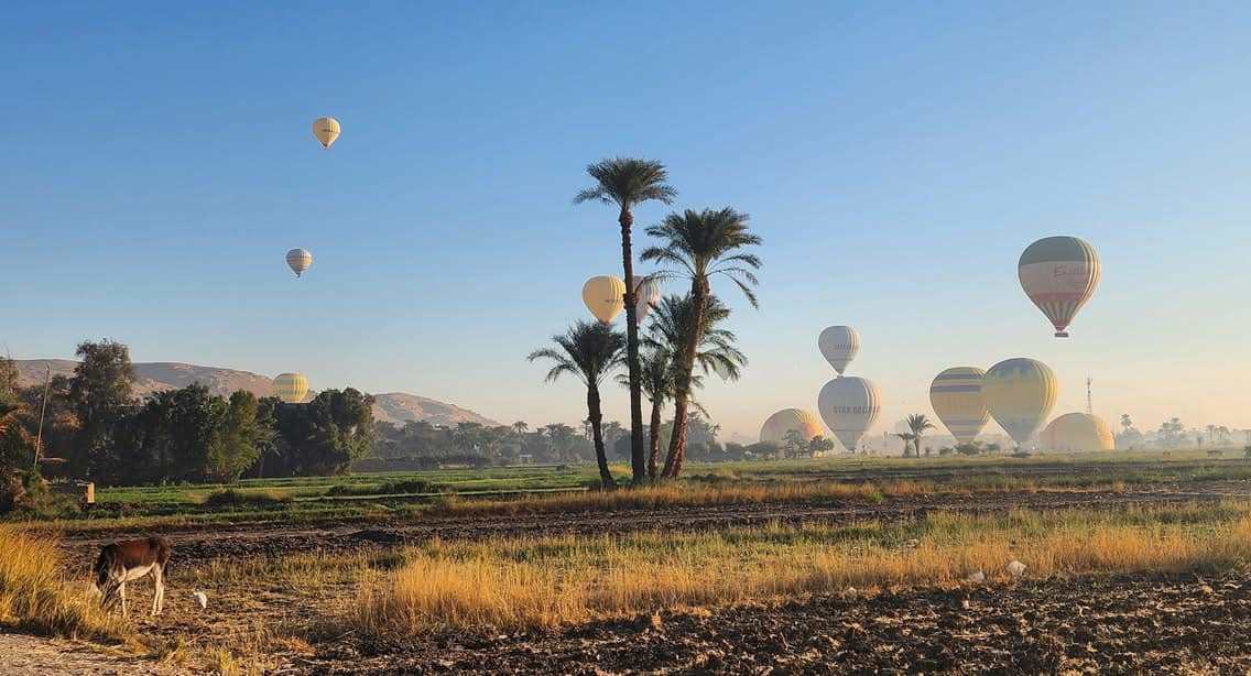 جانب من تحليق رحلات البالون غرب الأقصر