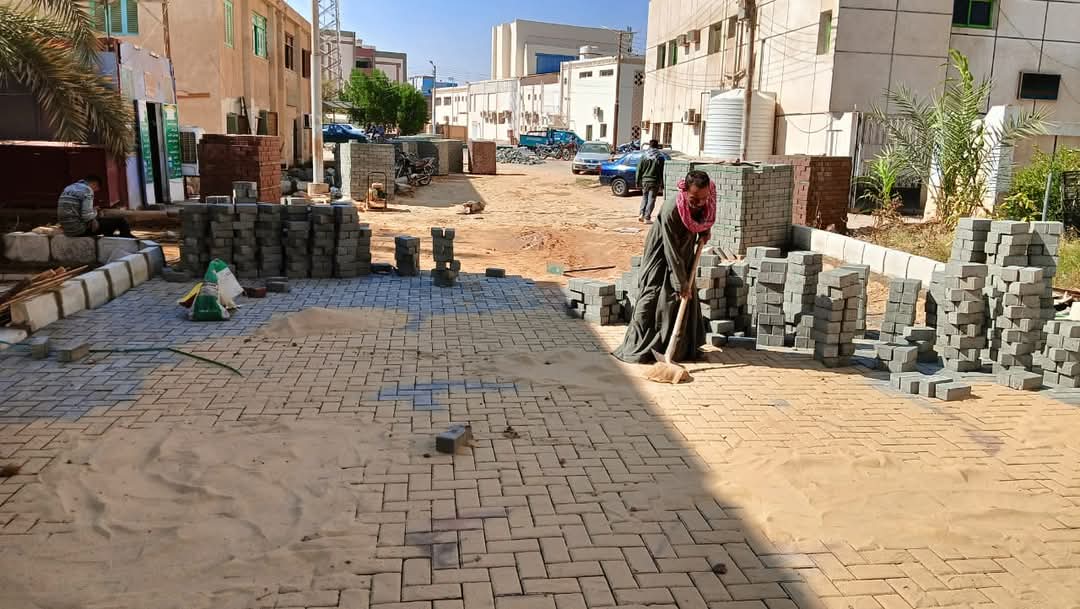 شوارع الوادي الجديد شكل تانى (10)