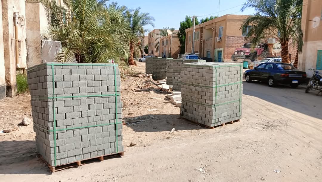 شوارع الوادي الجديد شكل تانى (12)