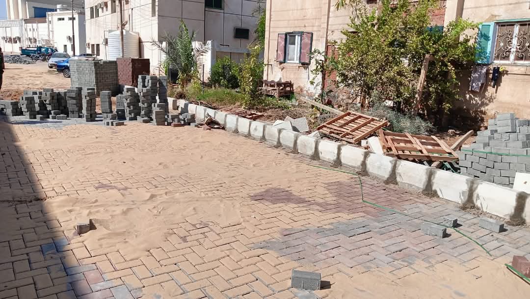 شوارع الوادي الجديد شكل تانى (9)