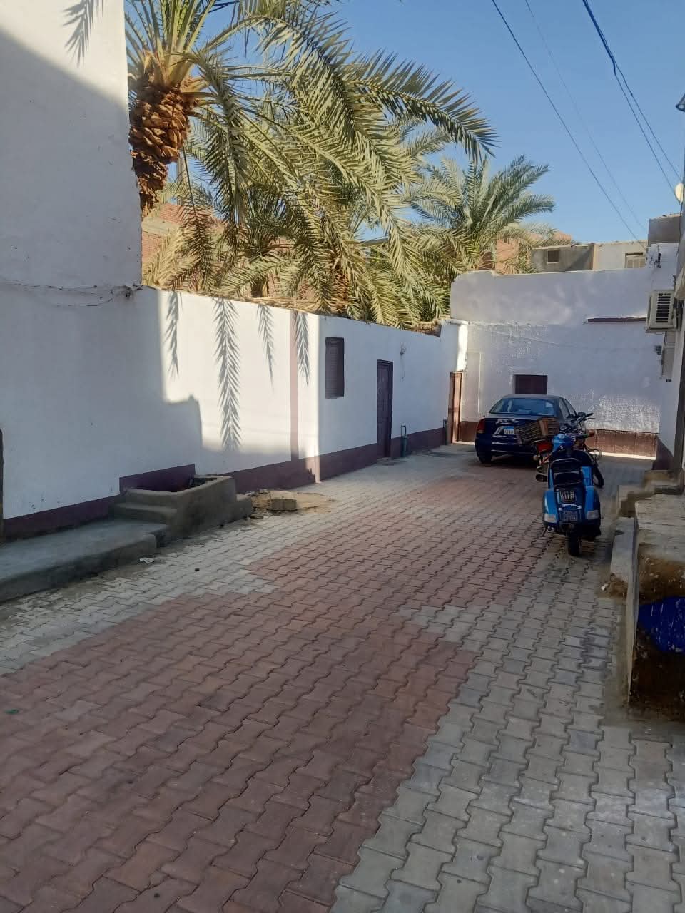 شوارع الوادي الجديد شكل تانى (4)