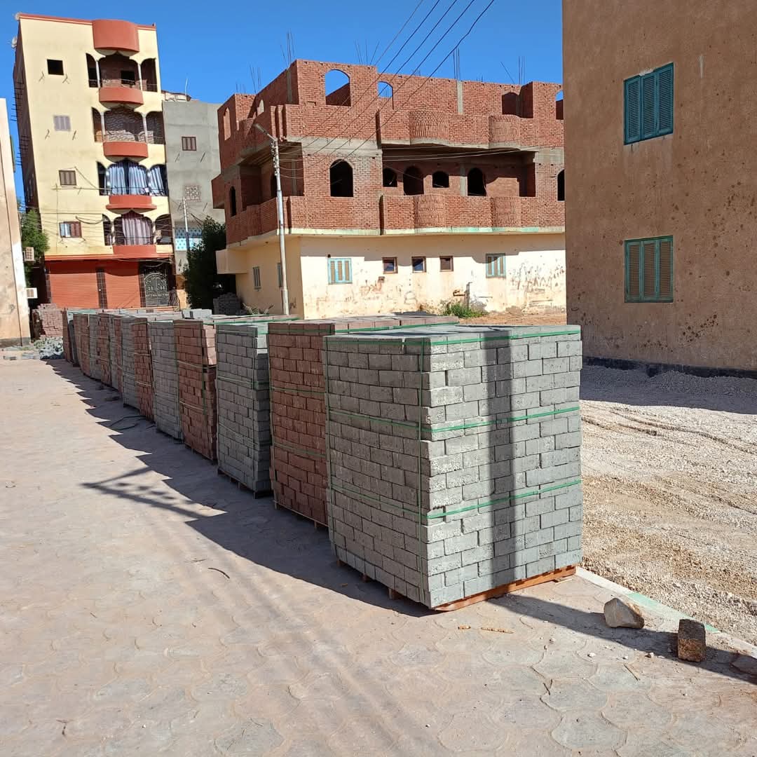 شوارع الوادي الجديد شكل تانى (15)