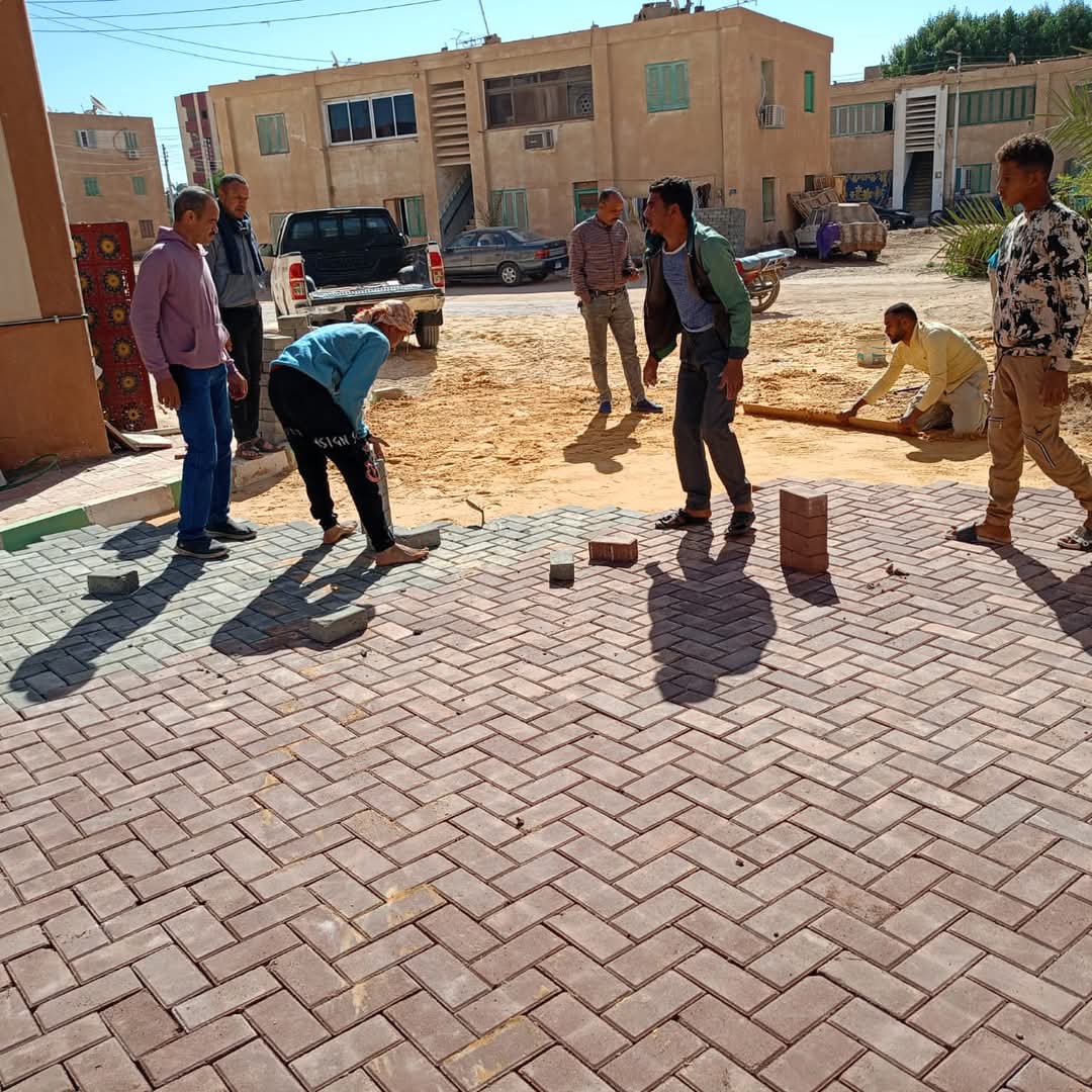 شوارع الوادي الجديد شكل تانى (14)