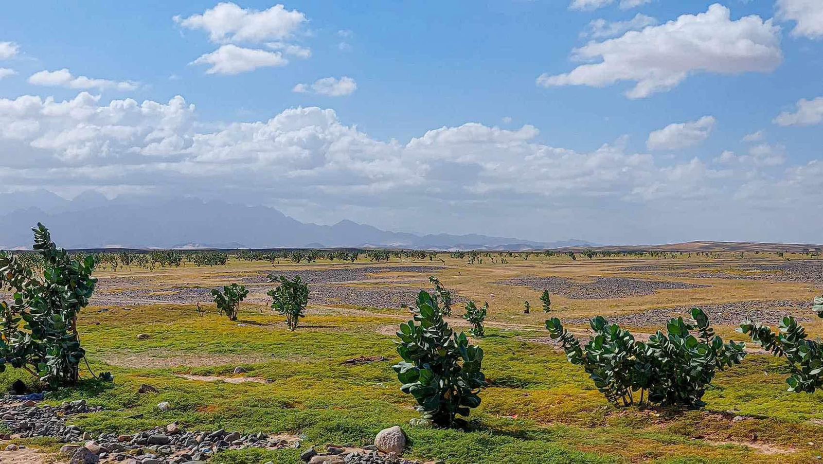 جمال الطبيعة فى علبه