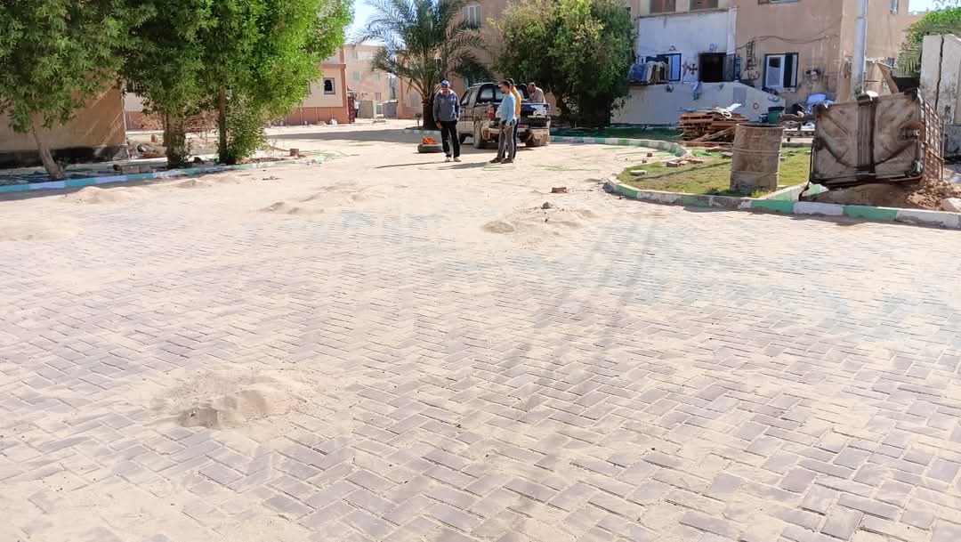 شوارع الوادي الجديد شكل تانى (8)