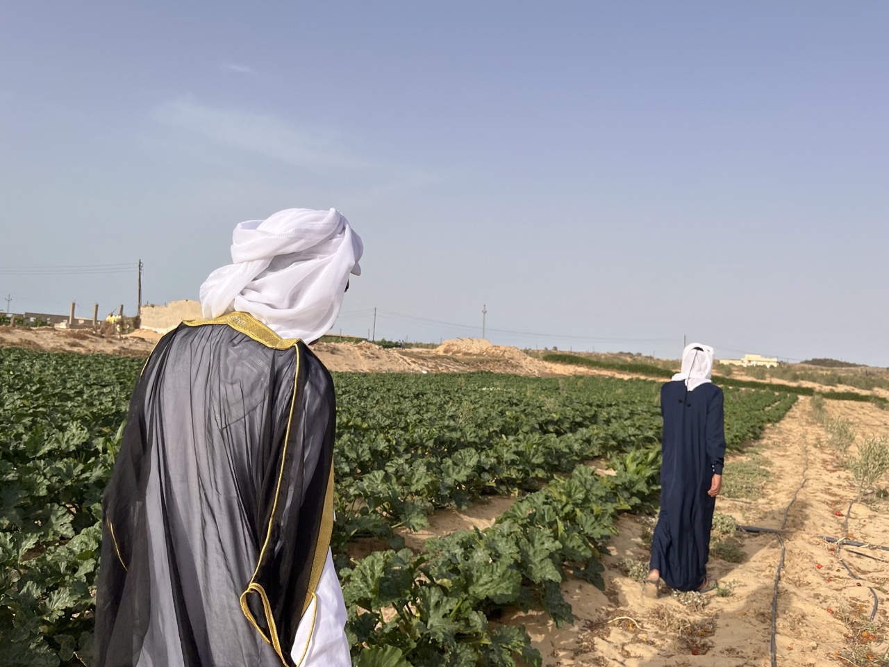 المزارع بقريةة الخروبه المزارع بقريةة الخروبه
