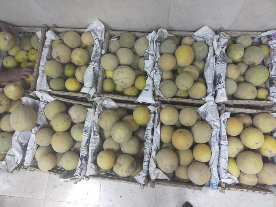 من خير سيناء من خير سيناء