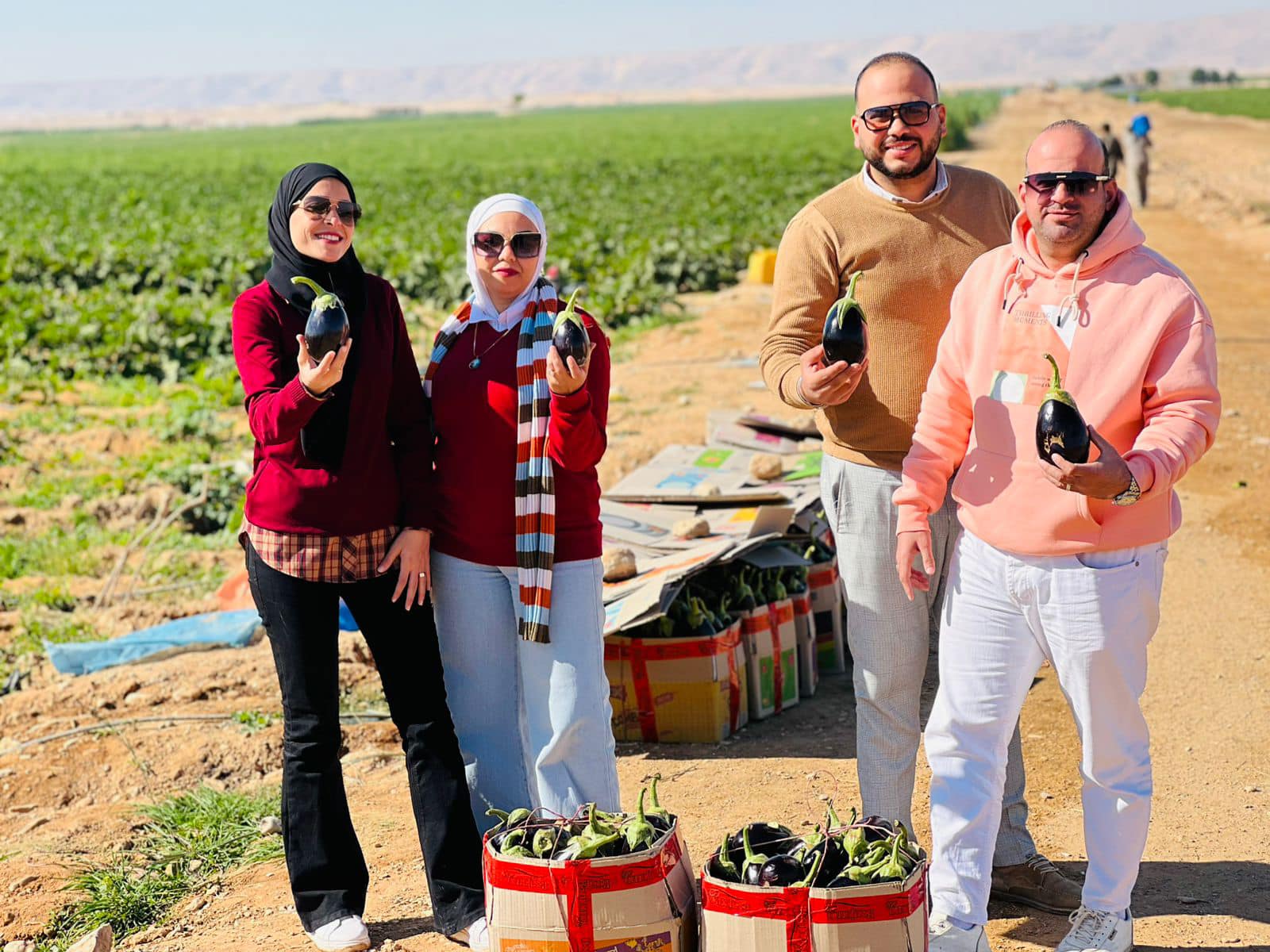 فرحة الشباب بحصاد الباذنجان فى جبال الأقصر