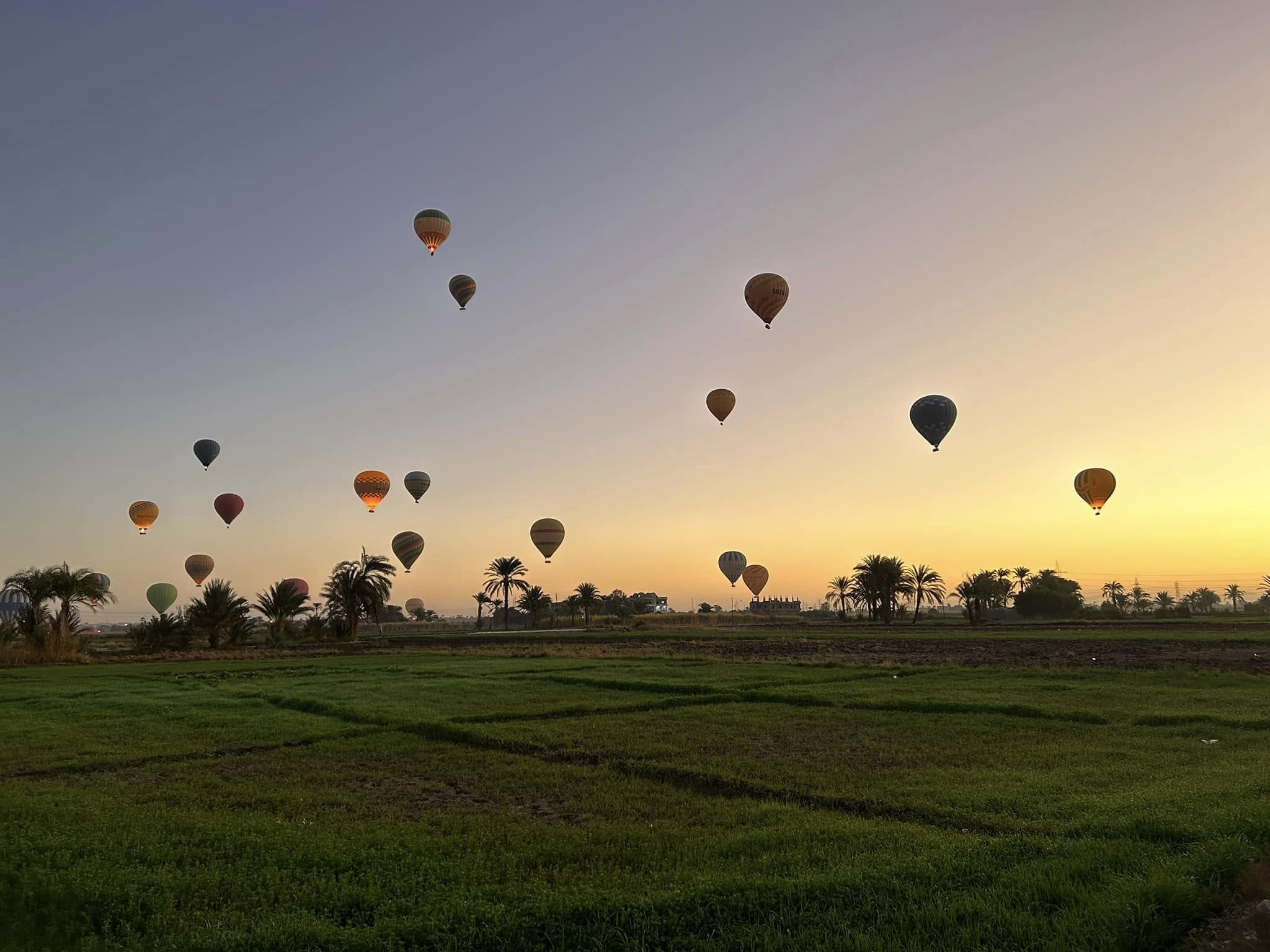 رحلات البالون الطائر تعانق الزراعات فى غرب الأقصر