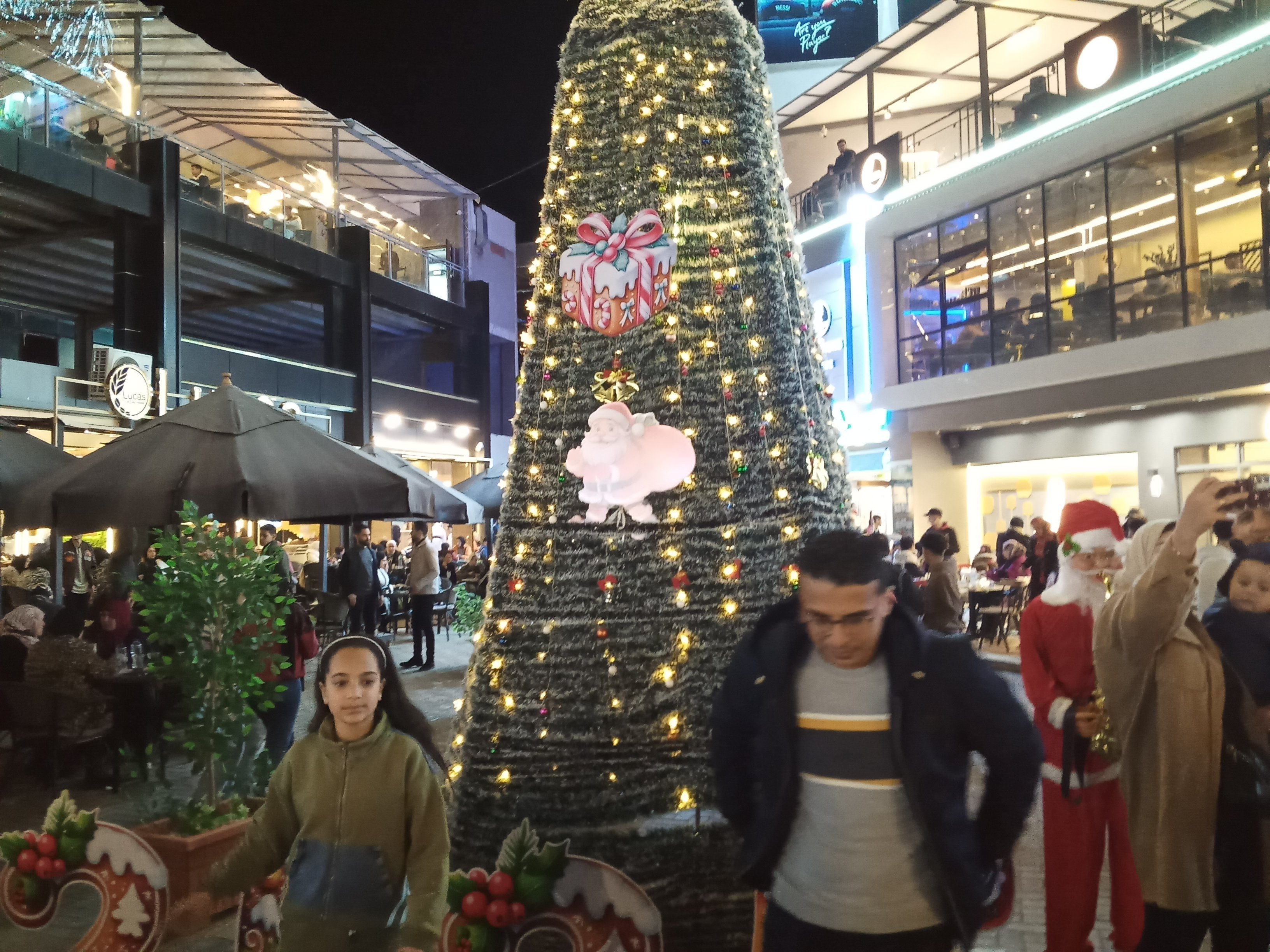 شجرة الكريسماس