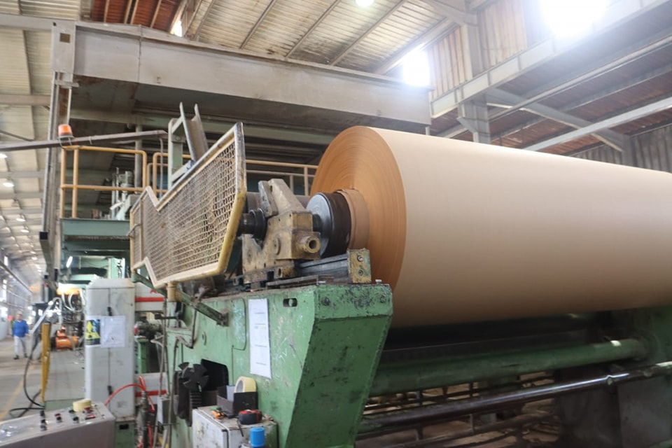 انتاج ورق الكارتون