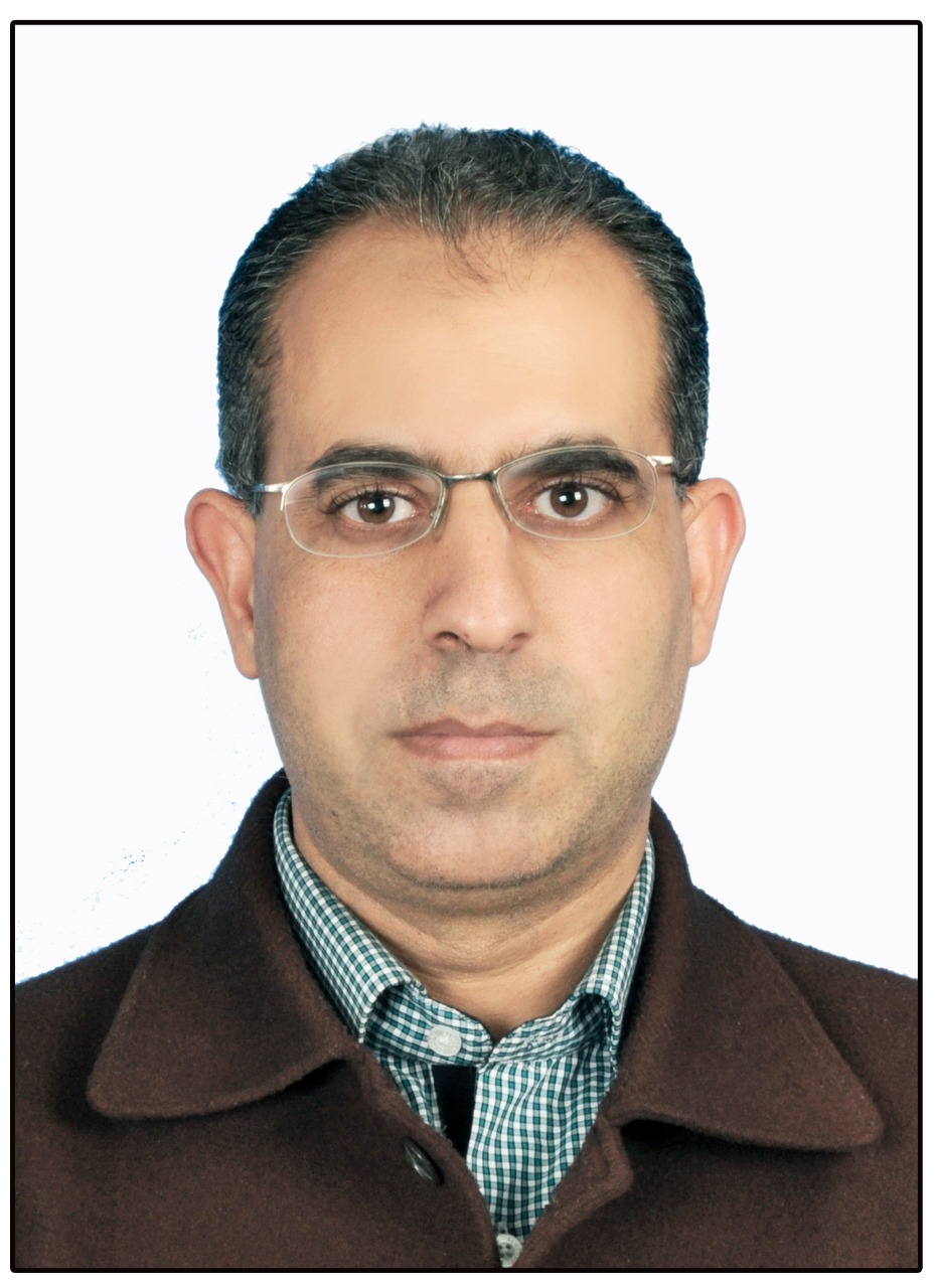 عبد الغني الشامي
