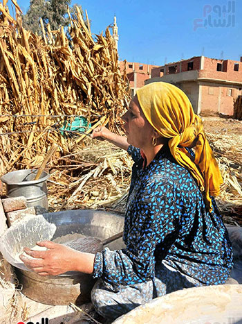 الست-راوية الست-راوية