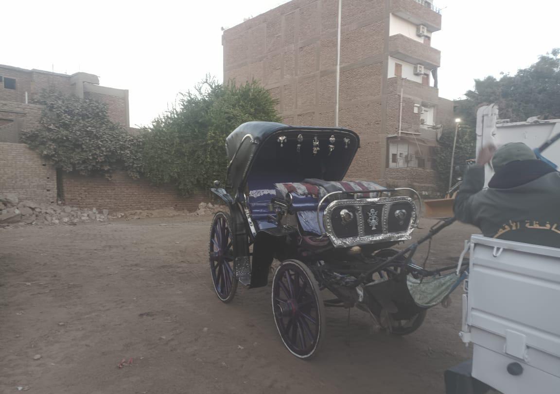 جانب من ضبط مخالفات الحنطور بالأقصر