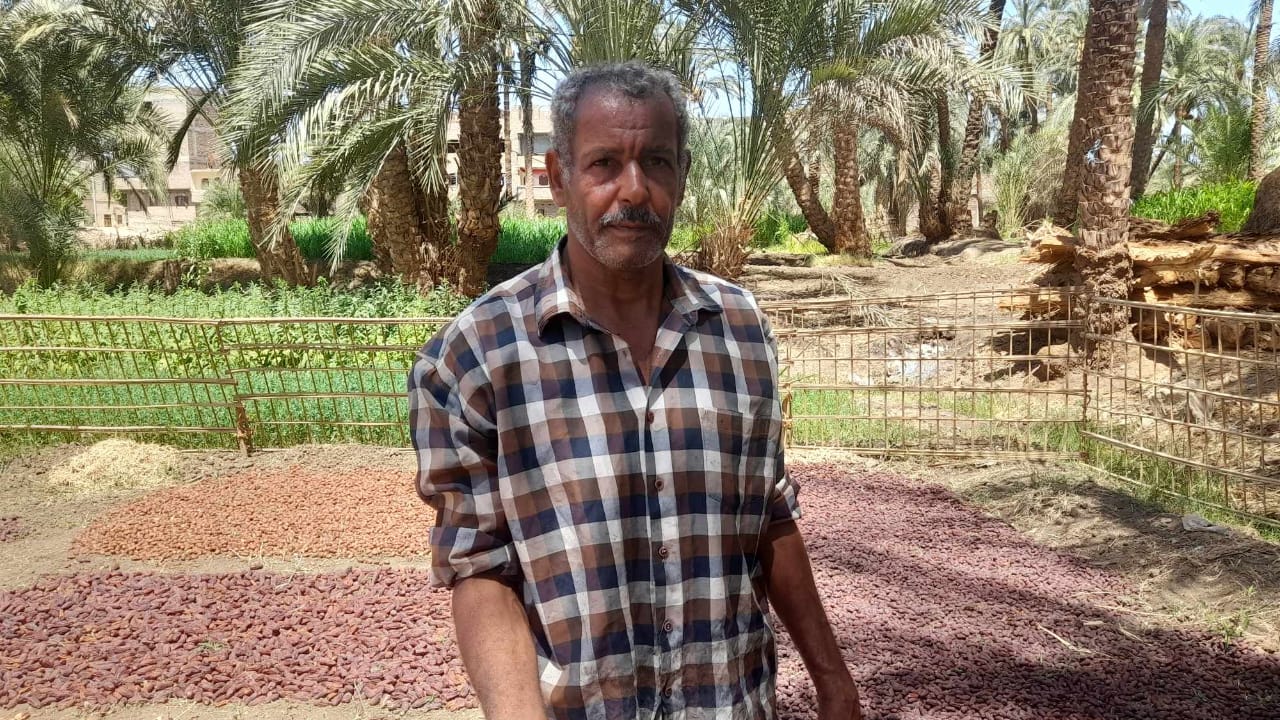 العم صابر أحمد تجار البلح