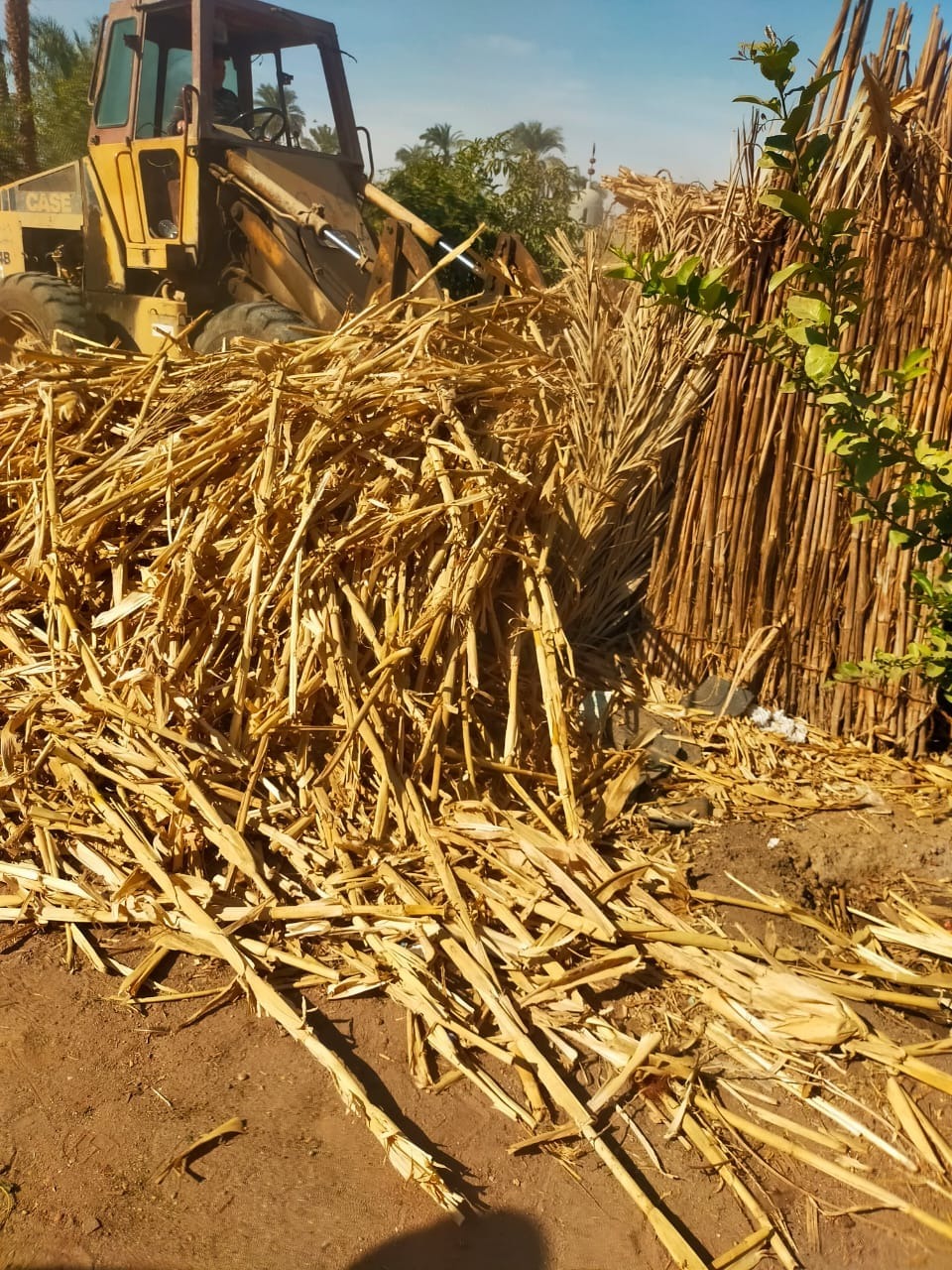 جانب من الإزالات (1)
