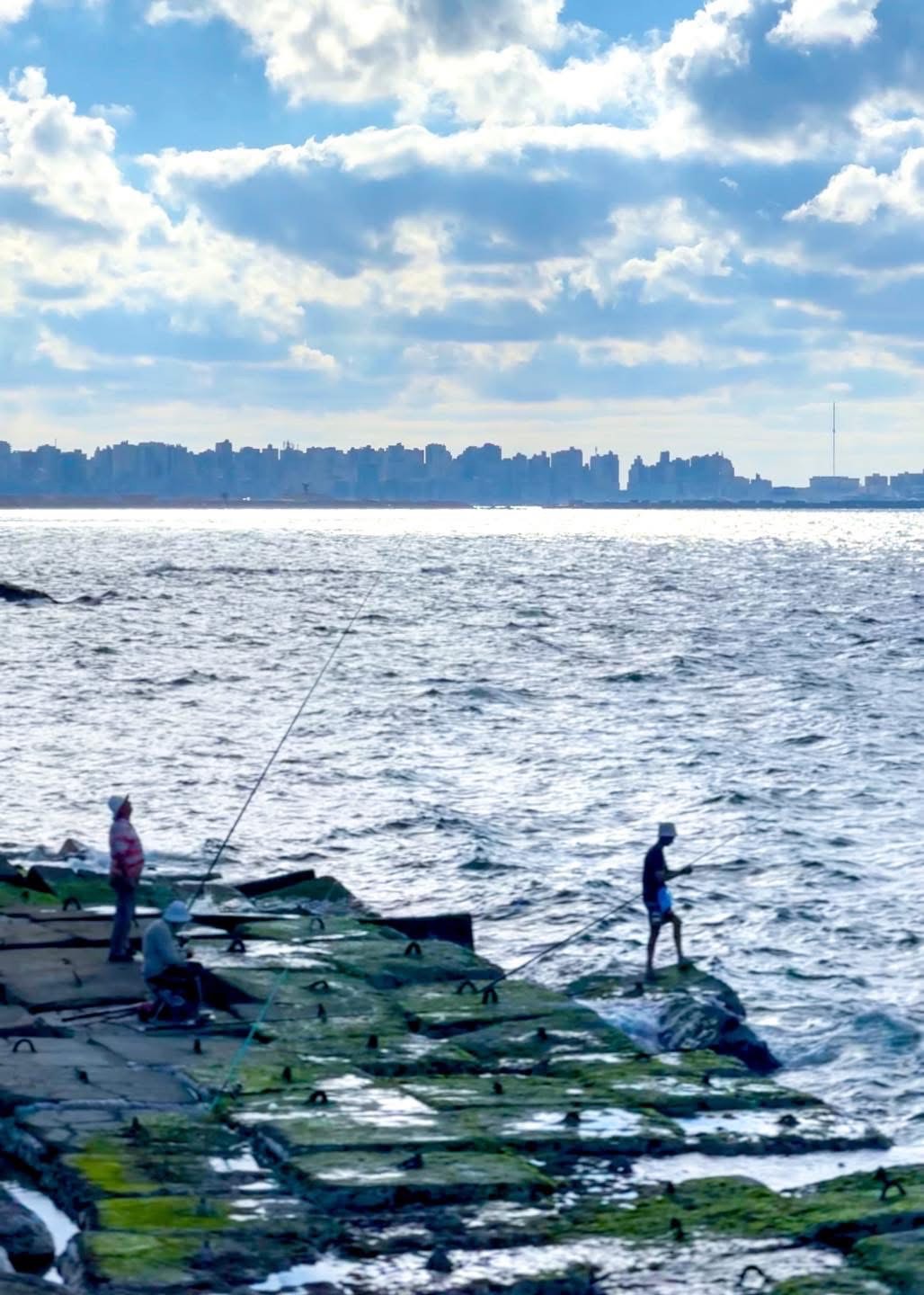 اسكندرية فى الشتاء