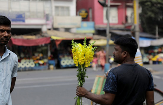 بائع الورد فى شوارع الهند
