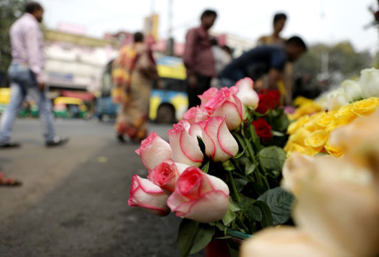زهور عيد الحب  تنتشر فى الأسواق