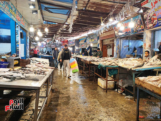 حلقات-السمك-داخل-السوق