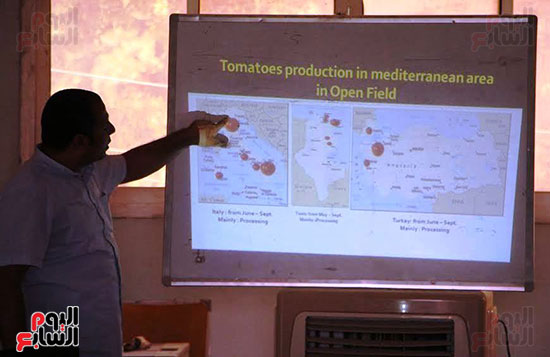 تدريب-المزارعين-علي-تجفيف-الطماطم-لتصديرها-للخارج