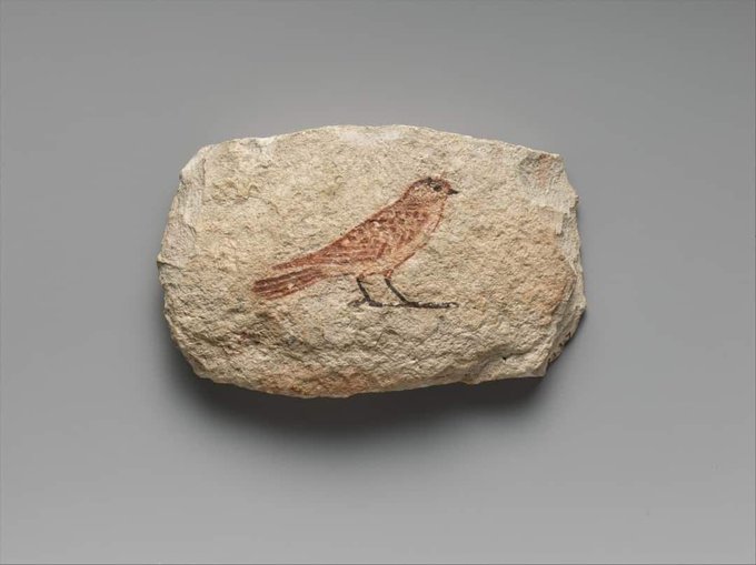 رسم عصفور ع صخره من الحجر الجيري ل فنان مصرى قديم..من طيبة
