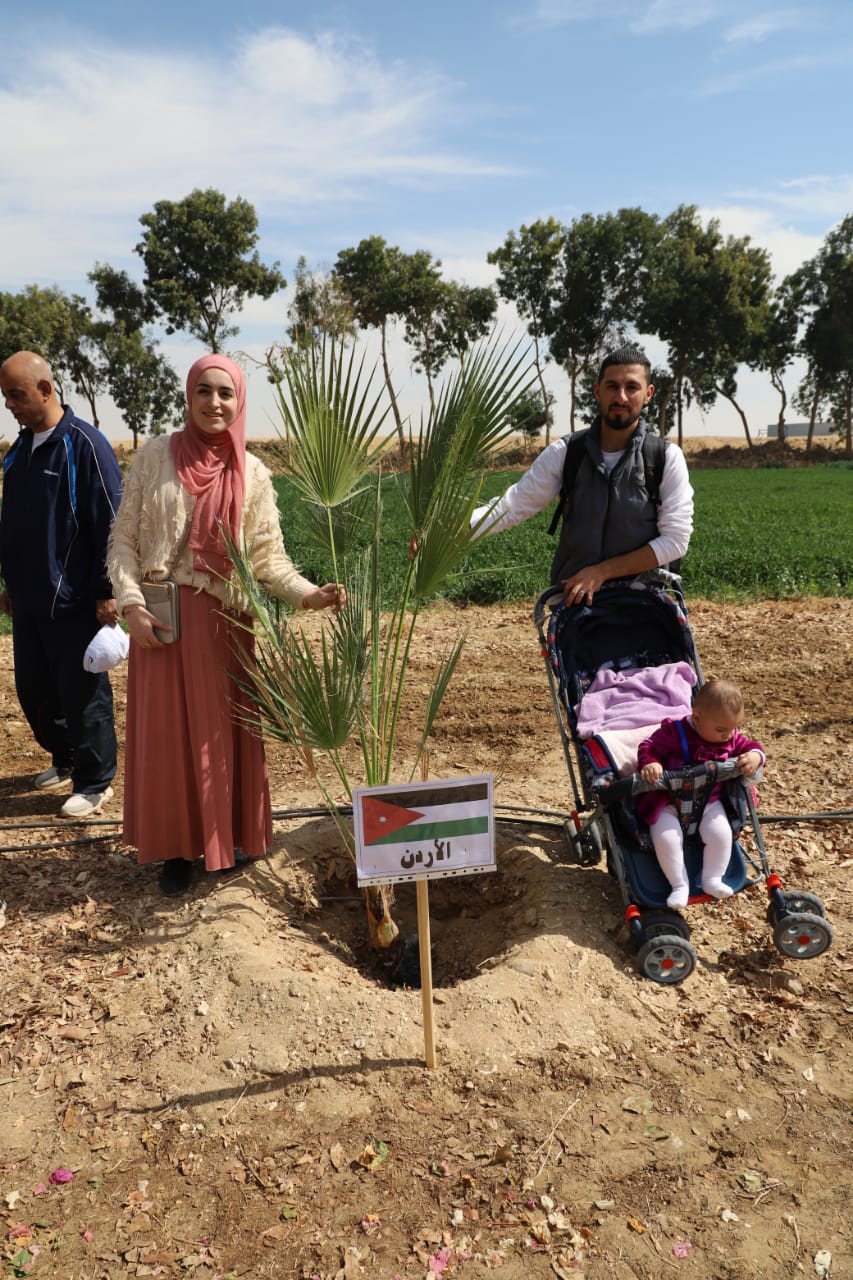 300 شاب عربي ومصري يزرعون أشجار بمنطقة الغابات الشجرية فى الأقصر (4)