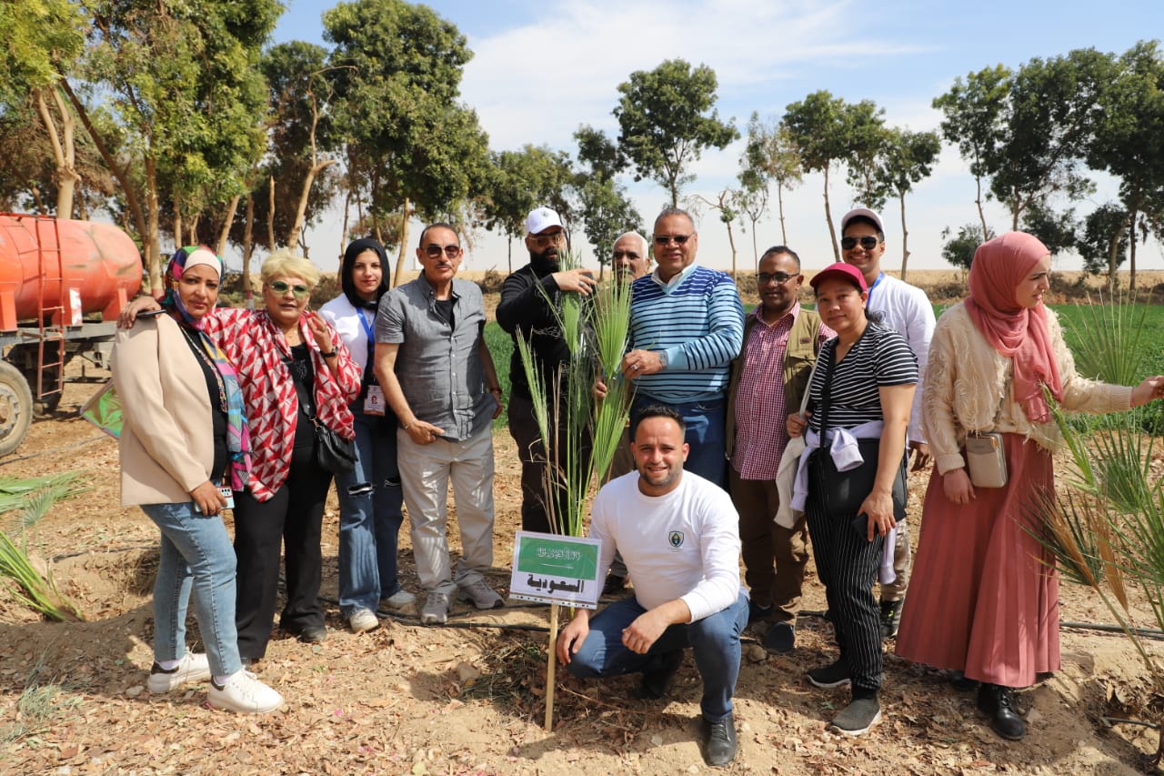 300 شاب عربي ومصري يزرعون أشجار بمنطقة الغابات الشجرية فى الأقصر (2)