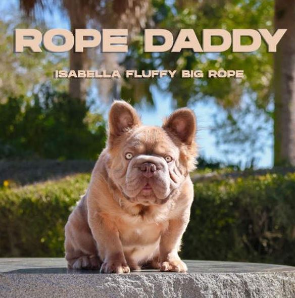 Rope Daddy