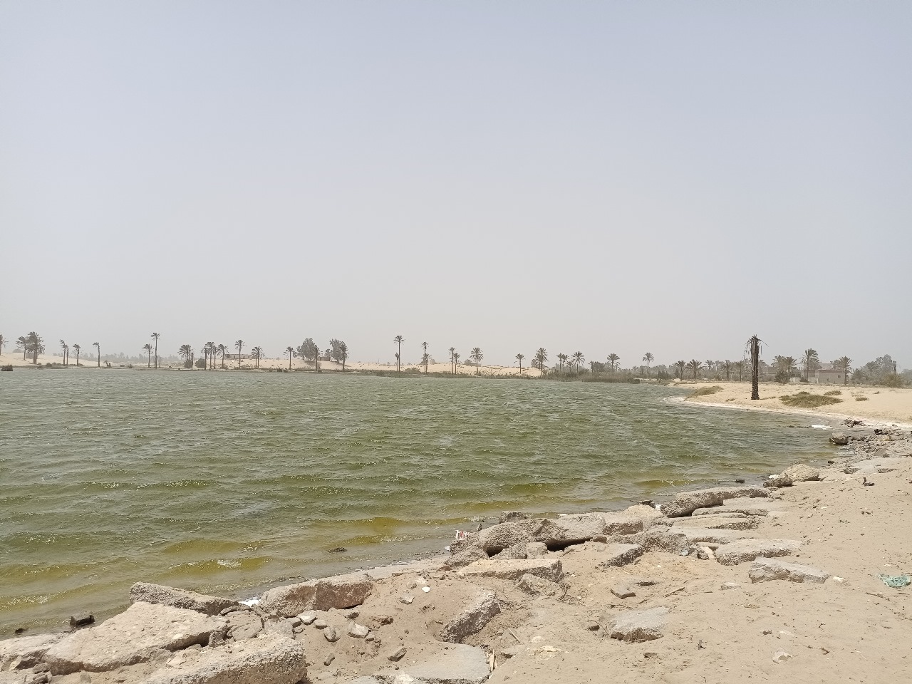 بحيرة الشيخ سليم بالمحسمة  (2)