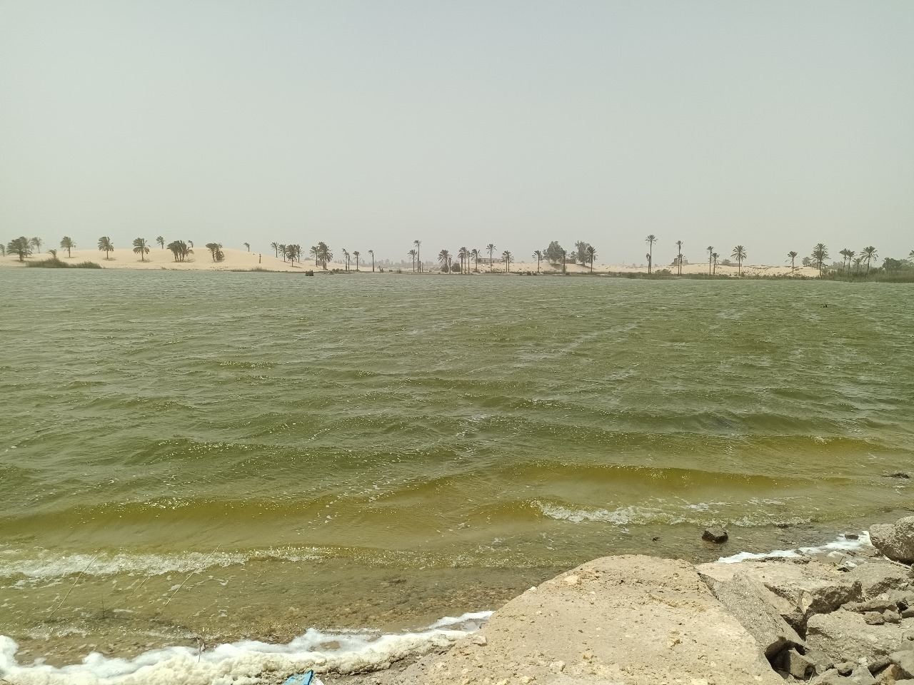 بحيرة الشيخ سليم بالمحسمة