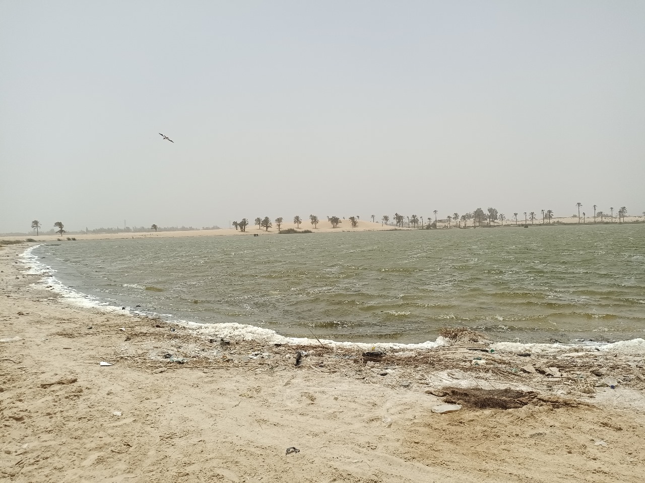 بحيرة الشيخ سليم بالمحسمة  (3)