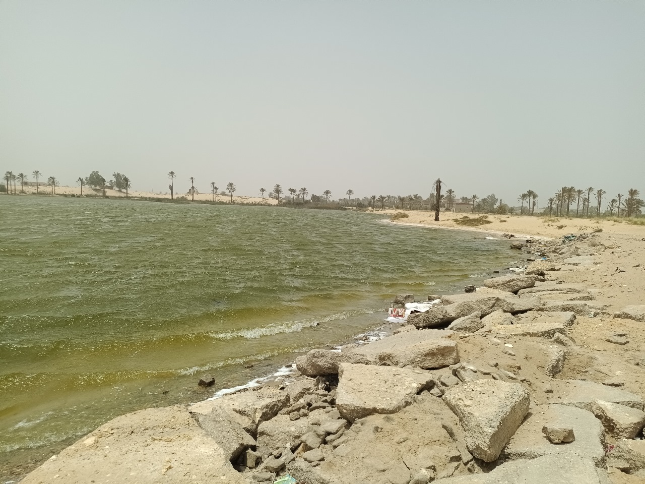 بحيرة الشيخ سليم تشبه شواطئ الإسكندرية (3)