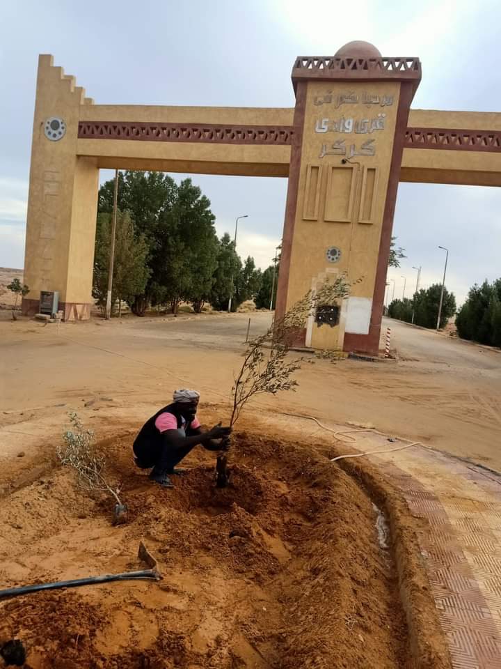 أسوان تواصل زراعة حصتها من المبادرات (5)