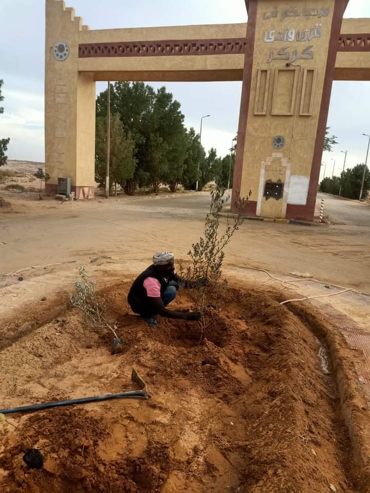 أسوان تواصل زراعة مبادرتها حصة (4)