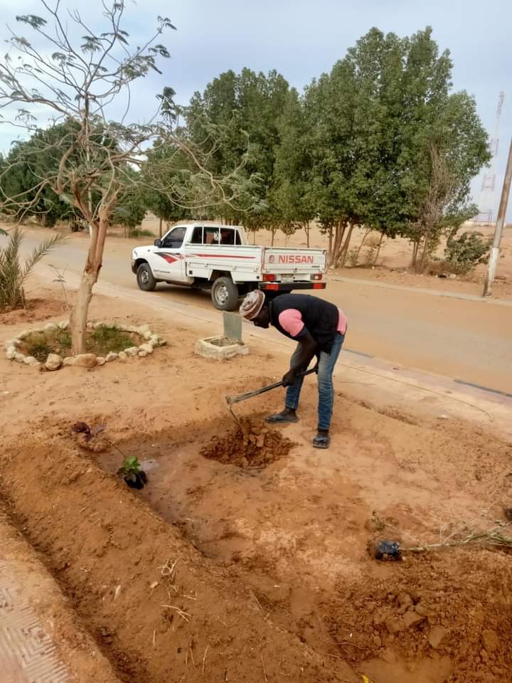أسوان تواصل زراعة مبادرتها حصة (2)